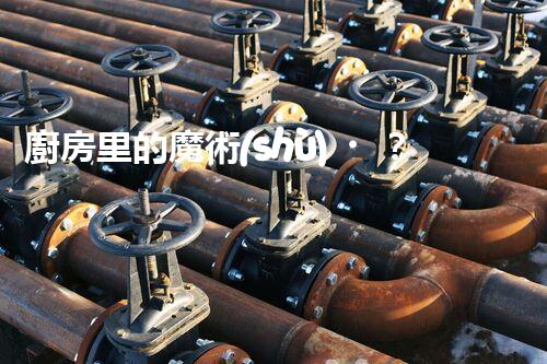 廚房里的魔術(shù)？家用洗菜廢水也能變廢為寶！